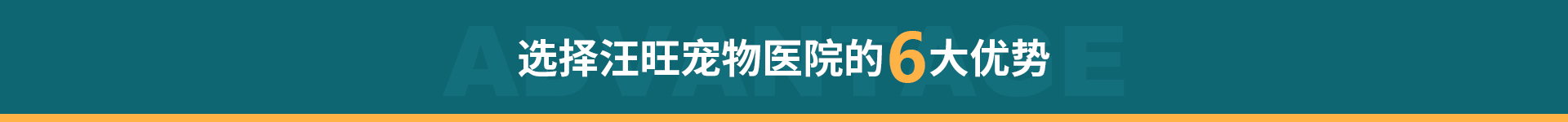 6大優(yōu)勢
